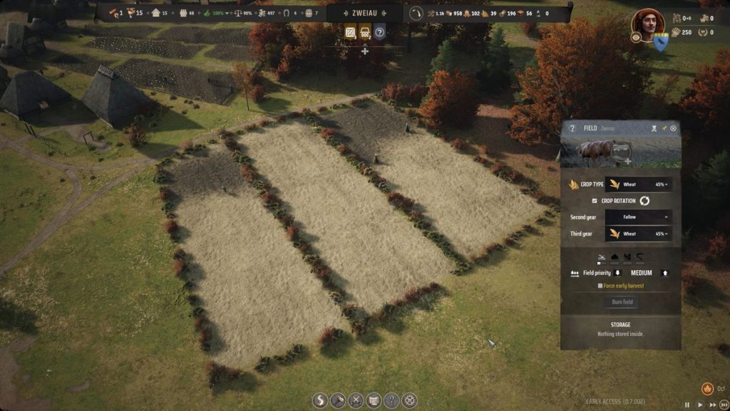 Manor Lords farming field