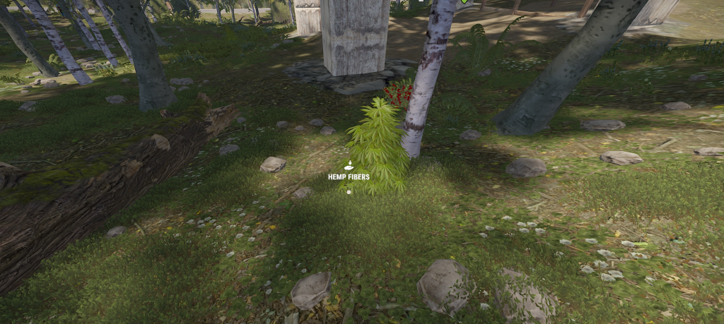 How to Play Rust image of a hemp plant